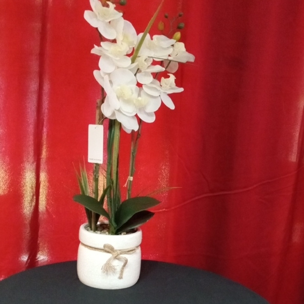 24.5" White and Green Faux Orchid l Accent with Ceramic Pot